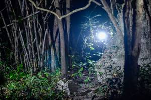 BIB: 
                            <button type="button" onclick="openModal(19437660)" class="btn btn-primary btn-sm float-right btn-popup" data-toggle="modal" data-target=".modal-high-quality">
                        <i class="fas fa-shopping-cart"></i> Add to Cart
                    </button>
                                            <button type="button" onclick="isThisMe(19437660, true)" class="btn btn-success btn-sm float-right btn-popup btn-isme hidden" data-toggle="tooltip" data-placement="bottom" title="นี่คือรูปของคุณใช่ไหม คลิกที่นี่เพื่อเอาเข้าอัลบั้ม">
                        <i class="fas fa-plus"></i> Add to album
                    </button>
                    <button type="button" onclick="isThisMe(19437660, false)" class="btn btn-warning btn-sm float-right btn-popup btn-isnotme hidden">
                        <i class="fas fa-ban"></i> Remove from album
                    </button>